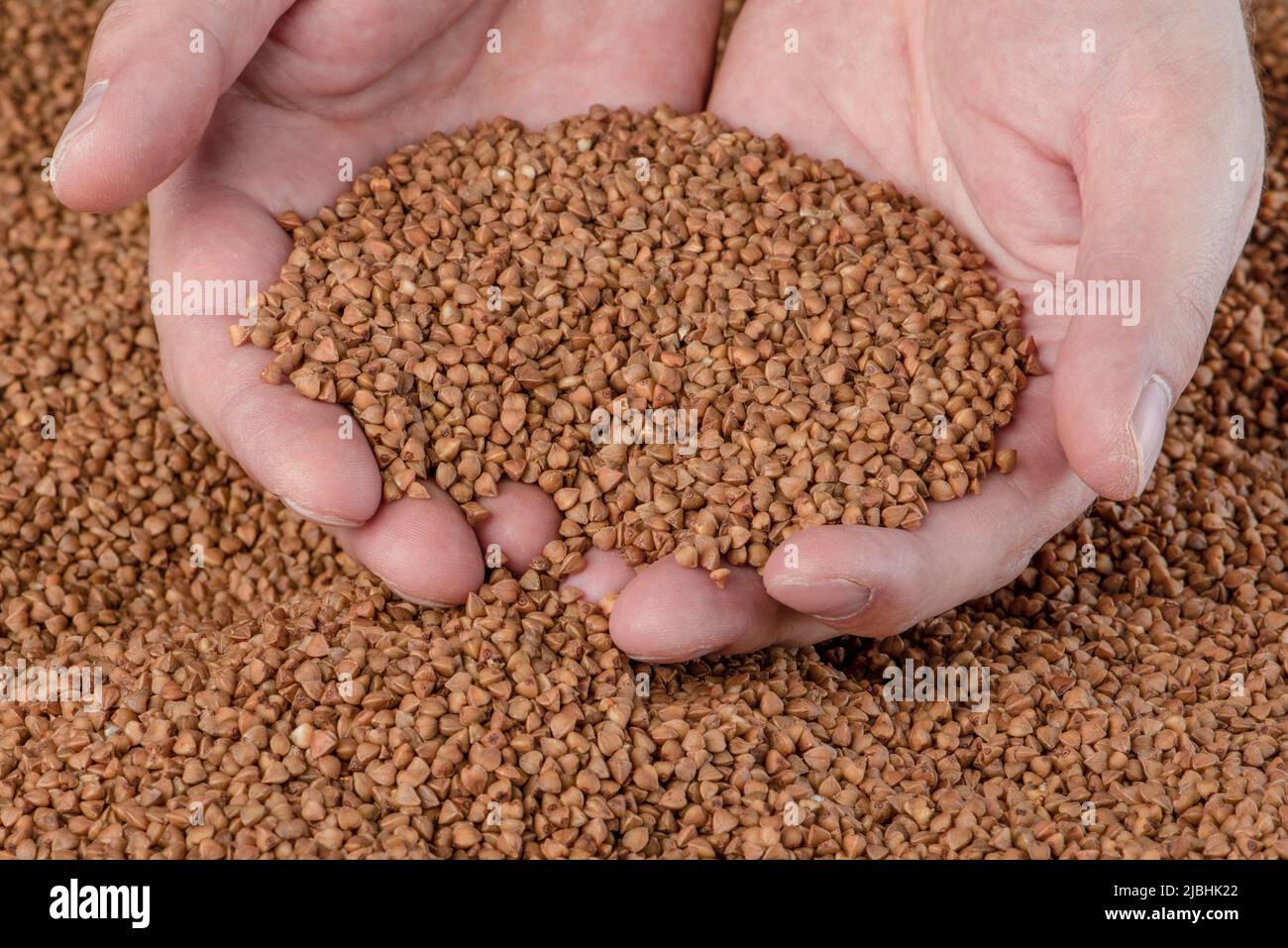 Buckwheat background, texture of buckwheat groats. Roasted buckwheat in the hands. Concept of food crisis, bad harvest, lack of food, famine. Stock Photo