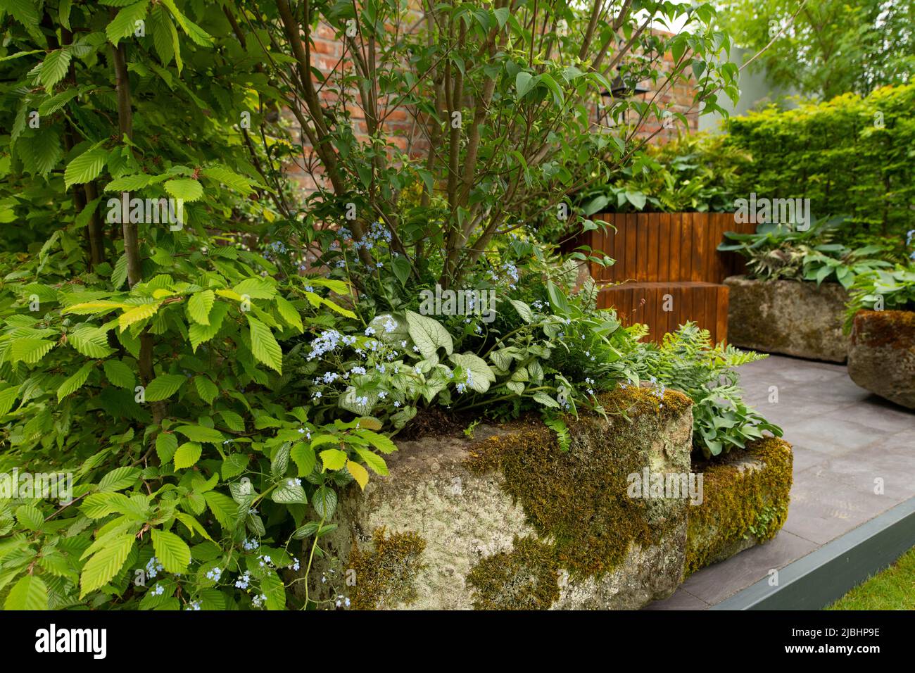 Stone planters and wood benches in the  Enchanted Rain Garden a container garden designed by Bea Tann. Stock Photo