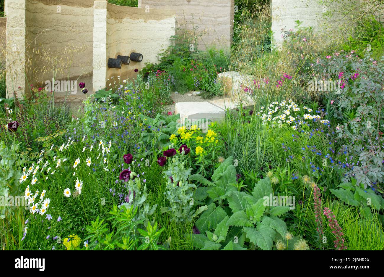 Curved clay walls containing block seats cut from Purbeck stone surrounded by herbaceous perennials and trees in The Mind Garden designed by Andy Stur Stock Photo