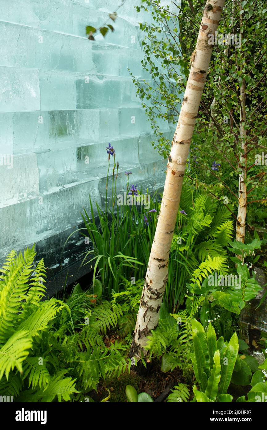 The Plantman’s Ice Garden, a sanctuary garden designed by John Warland featuring large blocks of ice surrounded by plants and trees including Iris sib Stock Photo