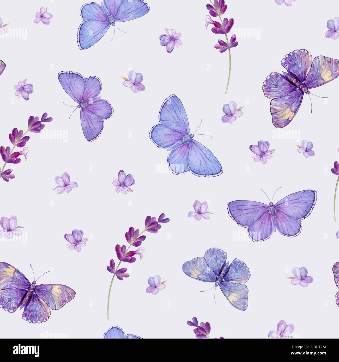 Pattern with butterflies and lavender, watercolor illustration Stock ...