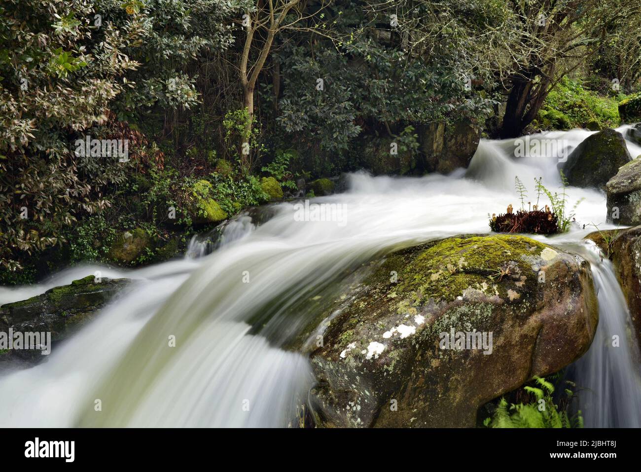 Stream Between Two Rocks Mountain stream waters between rocks at full speed Stock Photo - Alamy