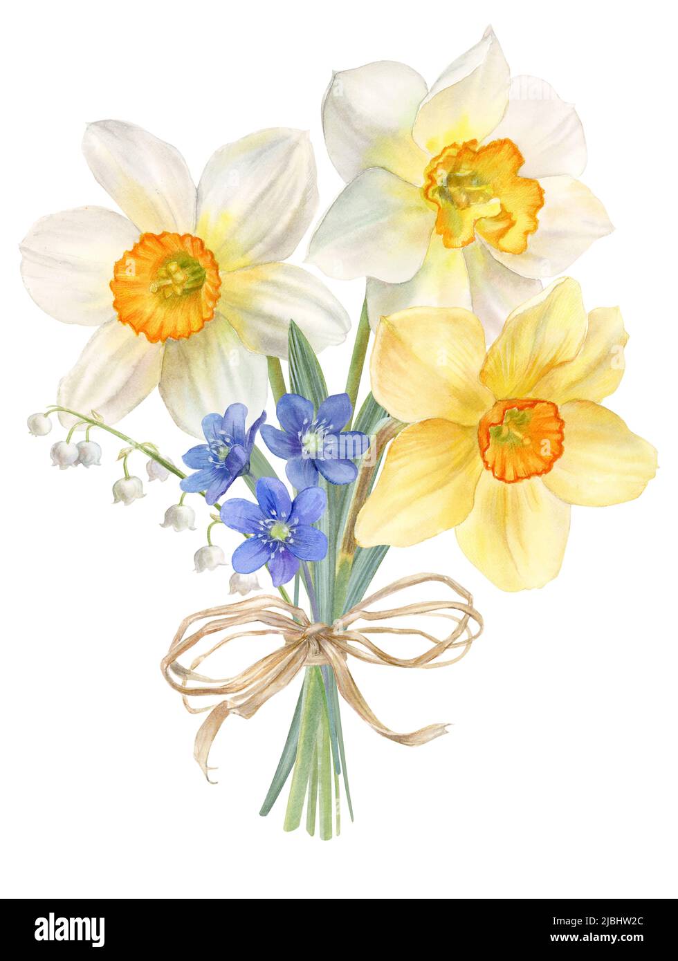 Spring flowers, bouquet with daffodils, watercolor illustration Stock