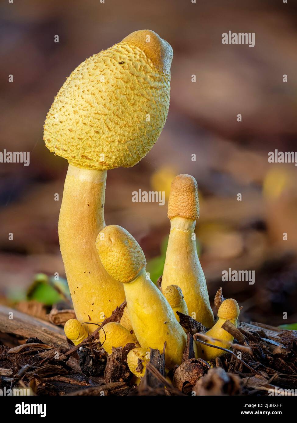 Butlins Bognor beach activities and games