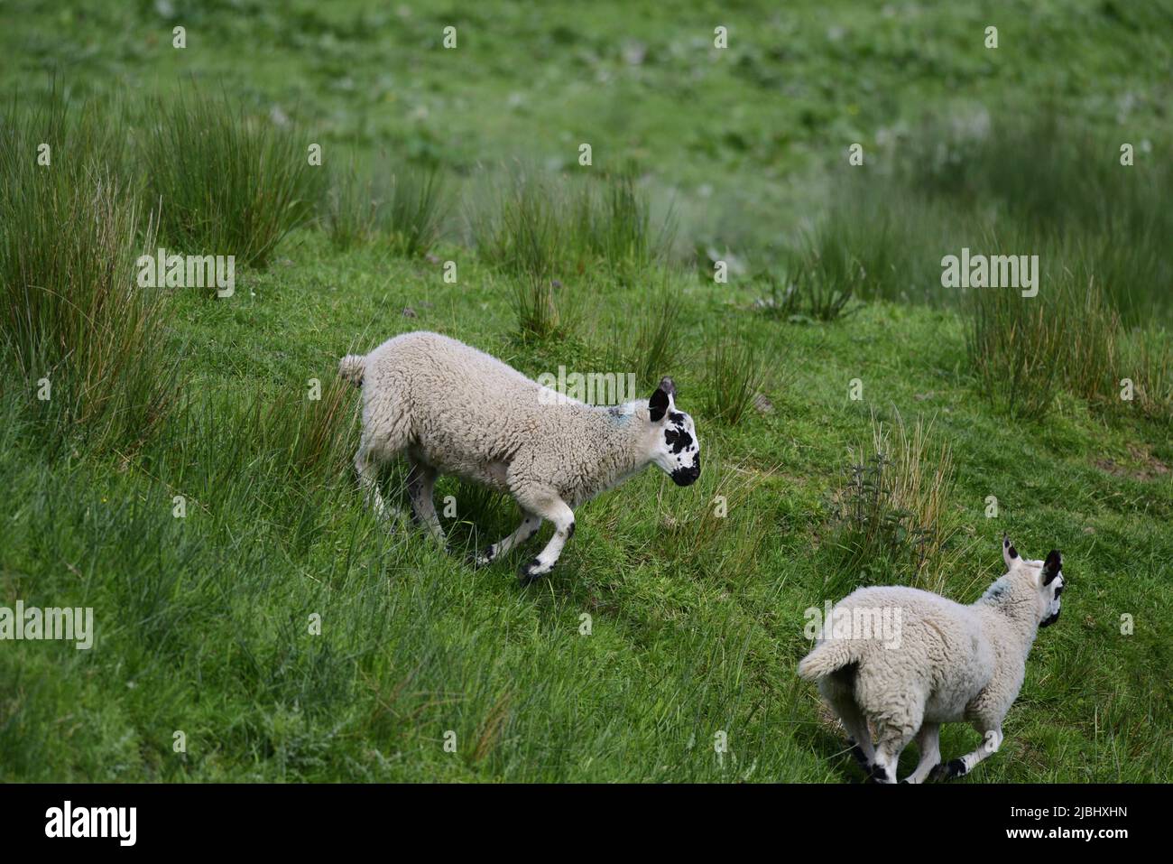Butlins Bognor swimming pool complex