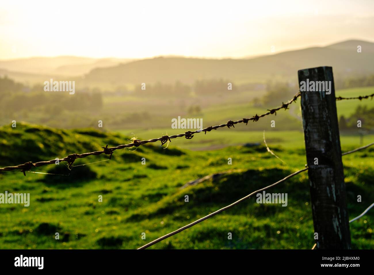 Beautiful Rolling Landscape Of The Scottish Borders At Sunset, With Focus On An Old Barbed Wire Fence In The Foreground Stock Photo