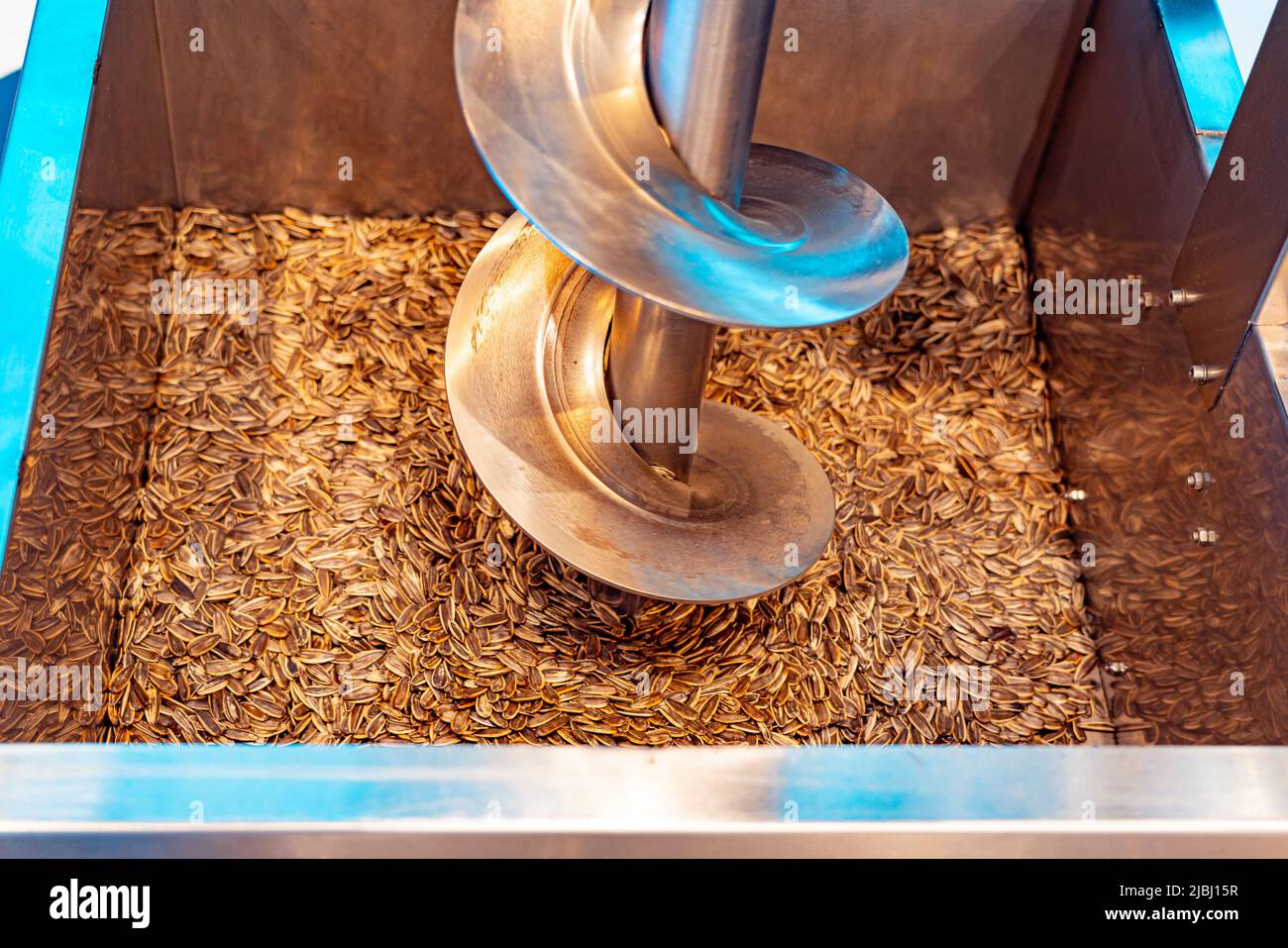 a factory vat of sunflower seeds from which a steel auger takes