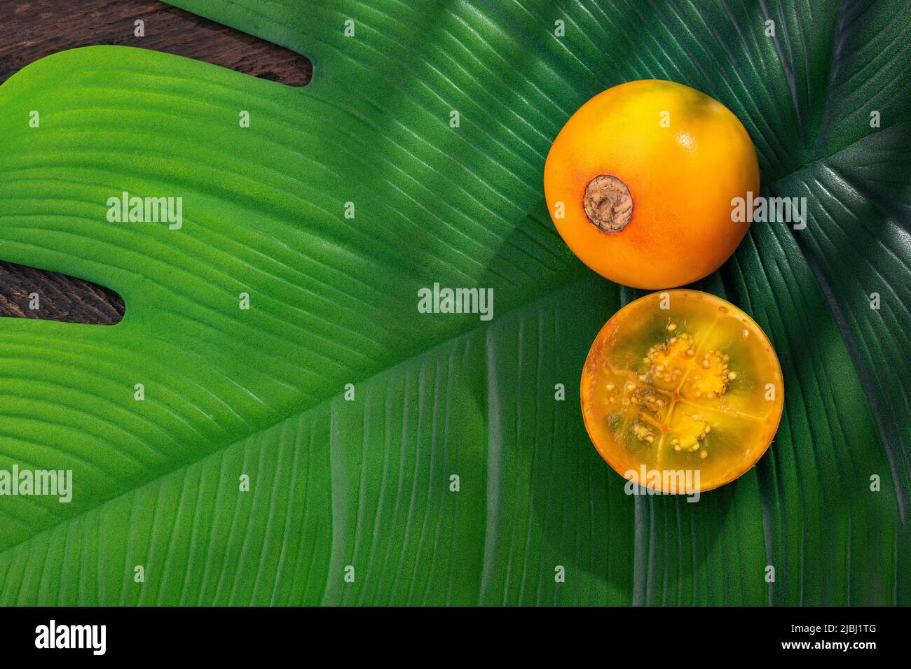 Solanum quitoense lulo naranjilla hi-res stock photography and images ...