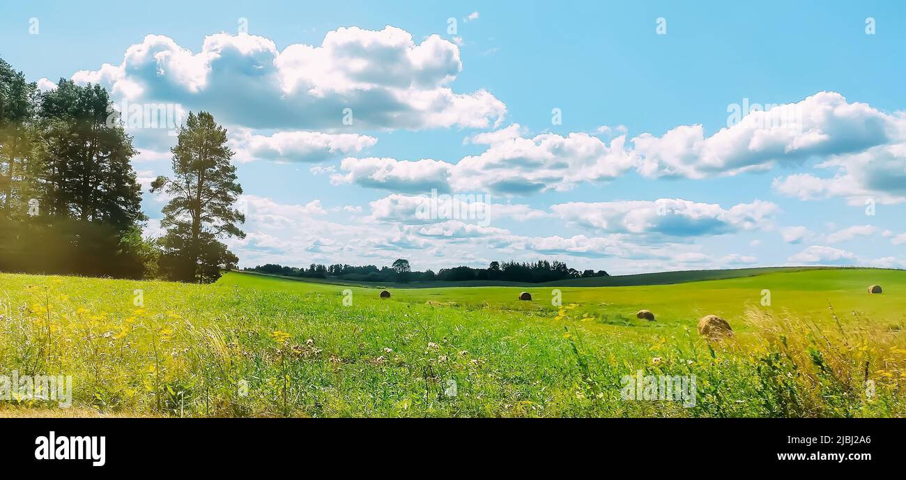 Landscape in countryside field in summer. Stock Photo