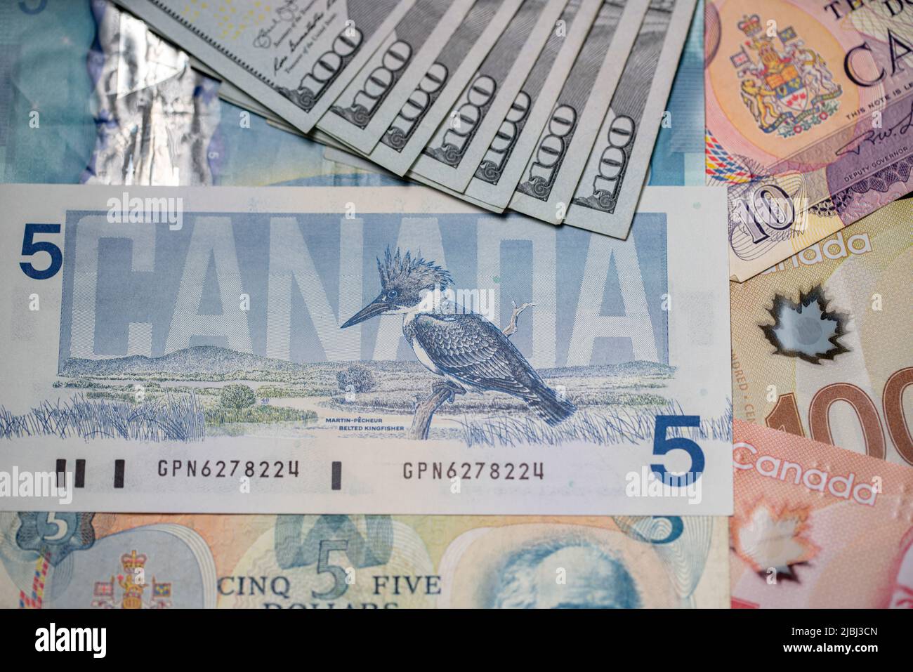 Toronto, Canada - October 30. 2021: Canadian Dollar and US Dollar banknotes. Birds of Canada with 100 USD bills Stock Photo