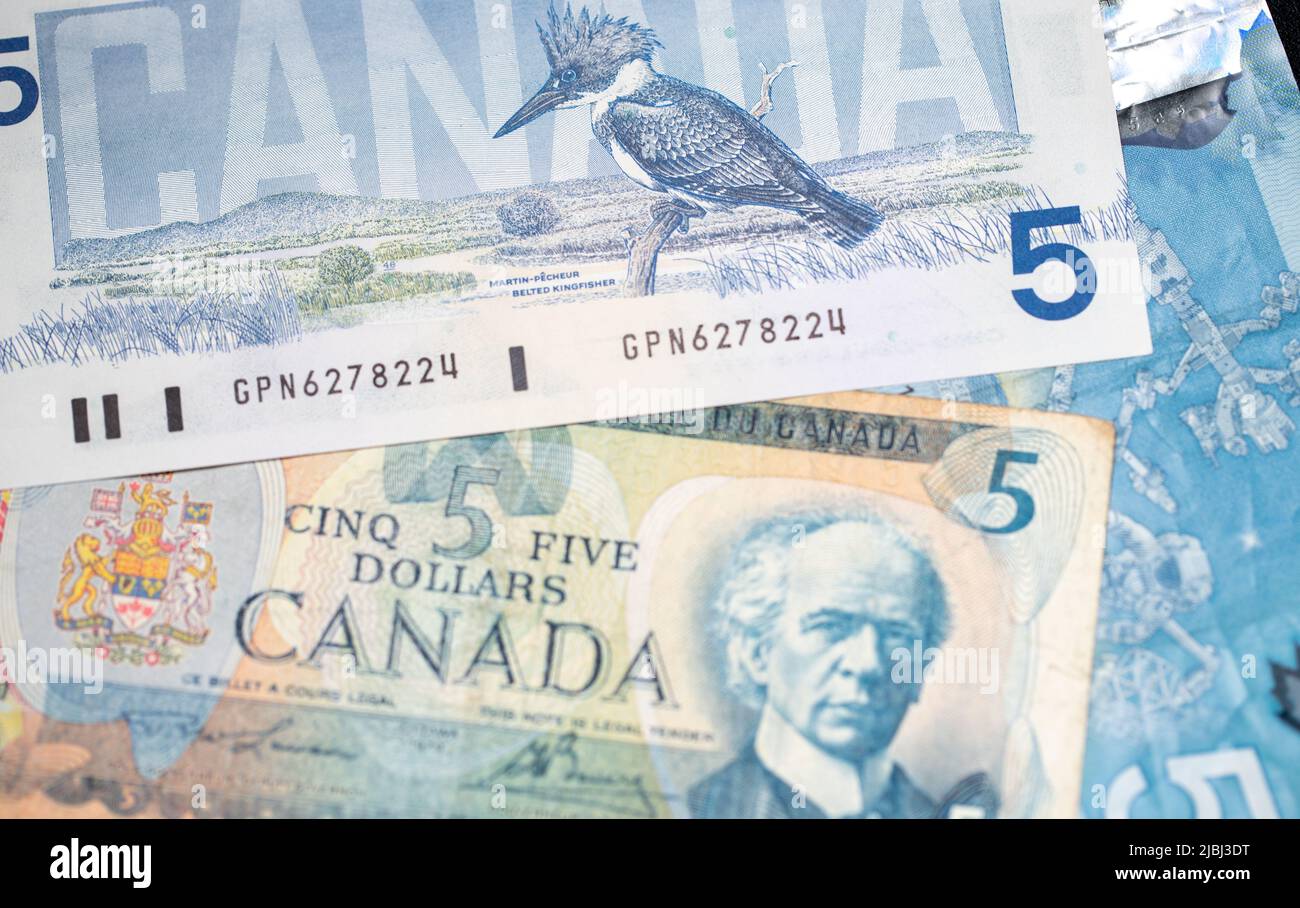 Toronto, Canada - October 30. 2021: Birds of Canada banknotes. Money from Canada. Cash banknotes Stock Photo