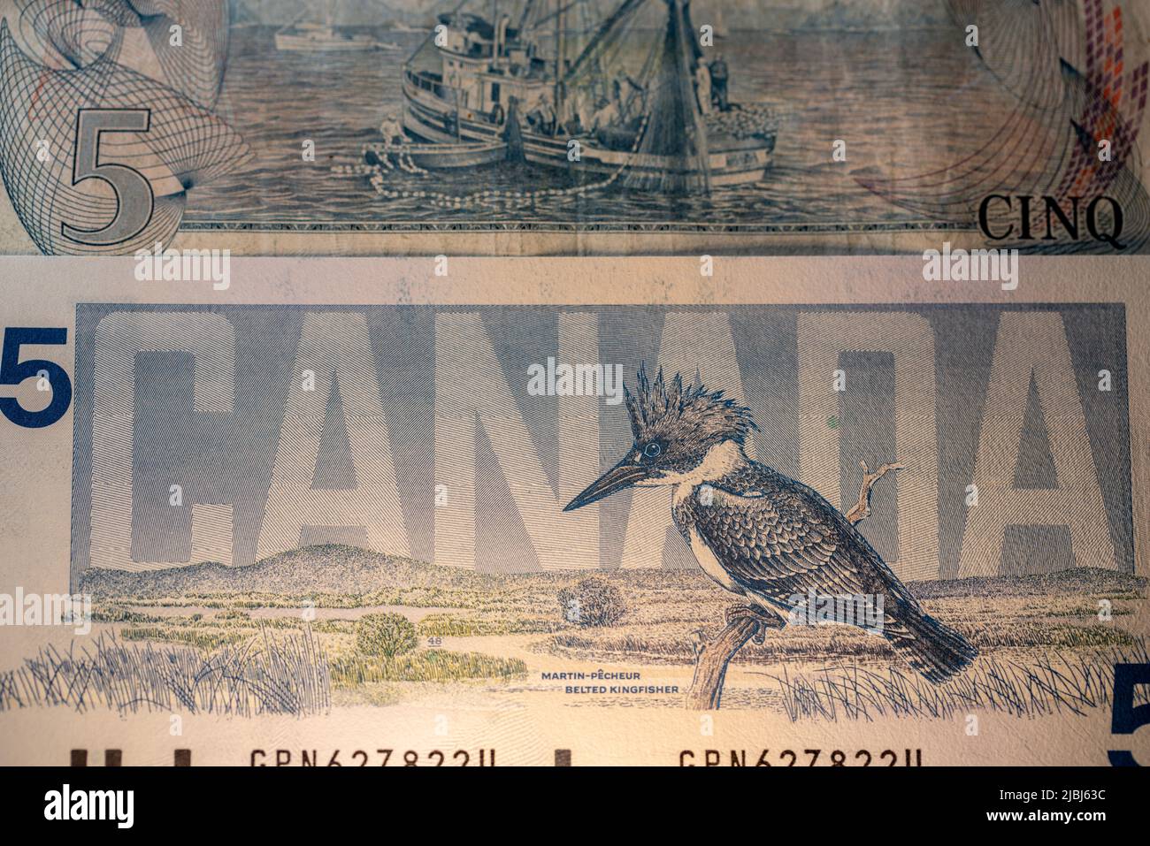 Toronto, Canada - October 30. 2021: Five canadian Dollar banknotes, scenes of Canada and birds of canada. Different designs of CAD bills Stock Photo