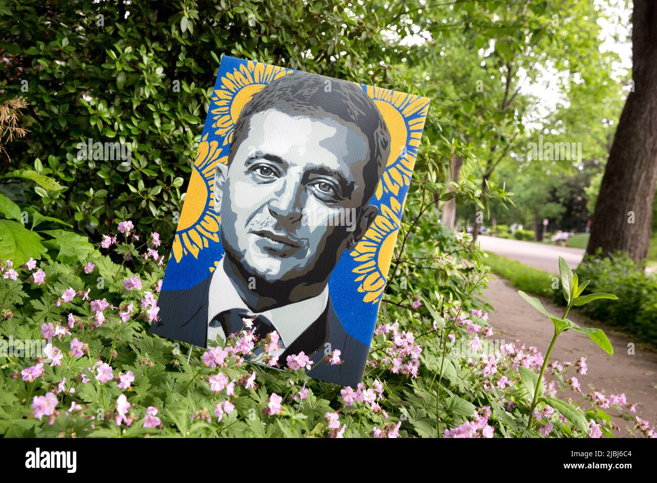 Colorful neighborhood yard sign in support and defense of Ukraine and Ukrainian President Volodymyr Zelenskyy in Minneapolis, Minnesota, USA Stock Photo