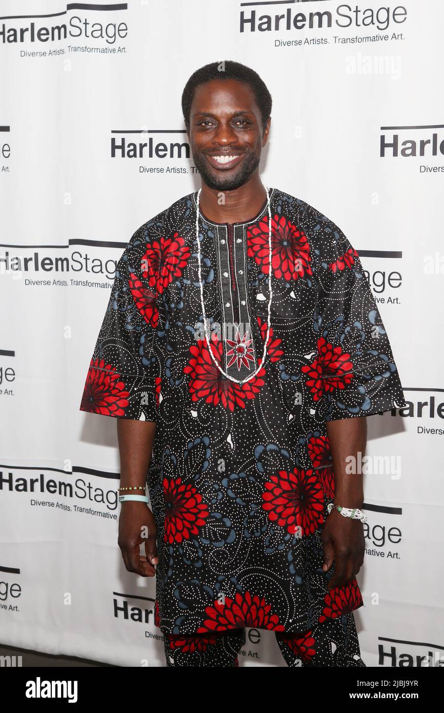 new-york-ny-06th-june-2022-adesola-osakalumi-attends-the-harlem
