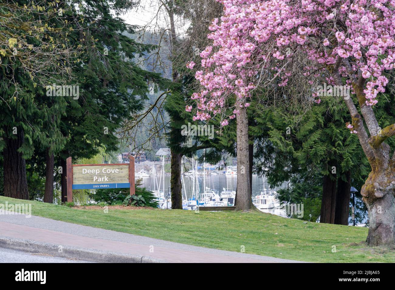 North Vancouver, BC, Canada April 19 2021 Deep Cove Park. A popular
