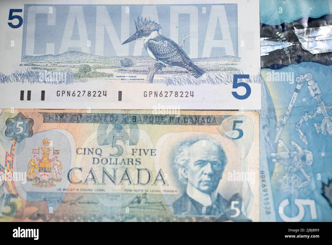 Toronto, Canada - October 30. 2021: Beautiful Canadian Dollar banknotes. Five CAD Dollar bills. Birds of Canada design on the 5 Dollar Bill Stock Photo