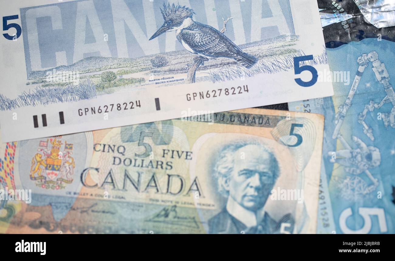 Toronto, Canada - October 30. 2021: Beautiful Canadian Dollar banknotes. Five CAD Dollar bills. Birds of Canada design on the 5 Dollar Bill Stock Photo