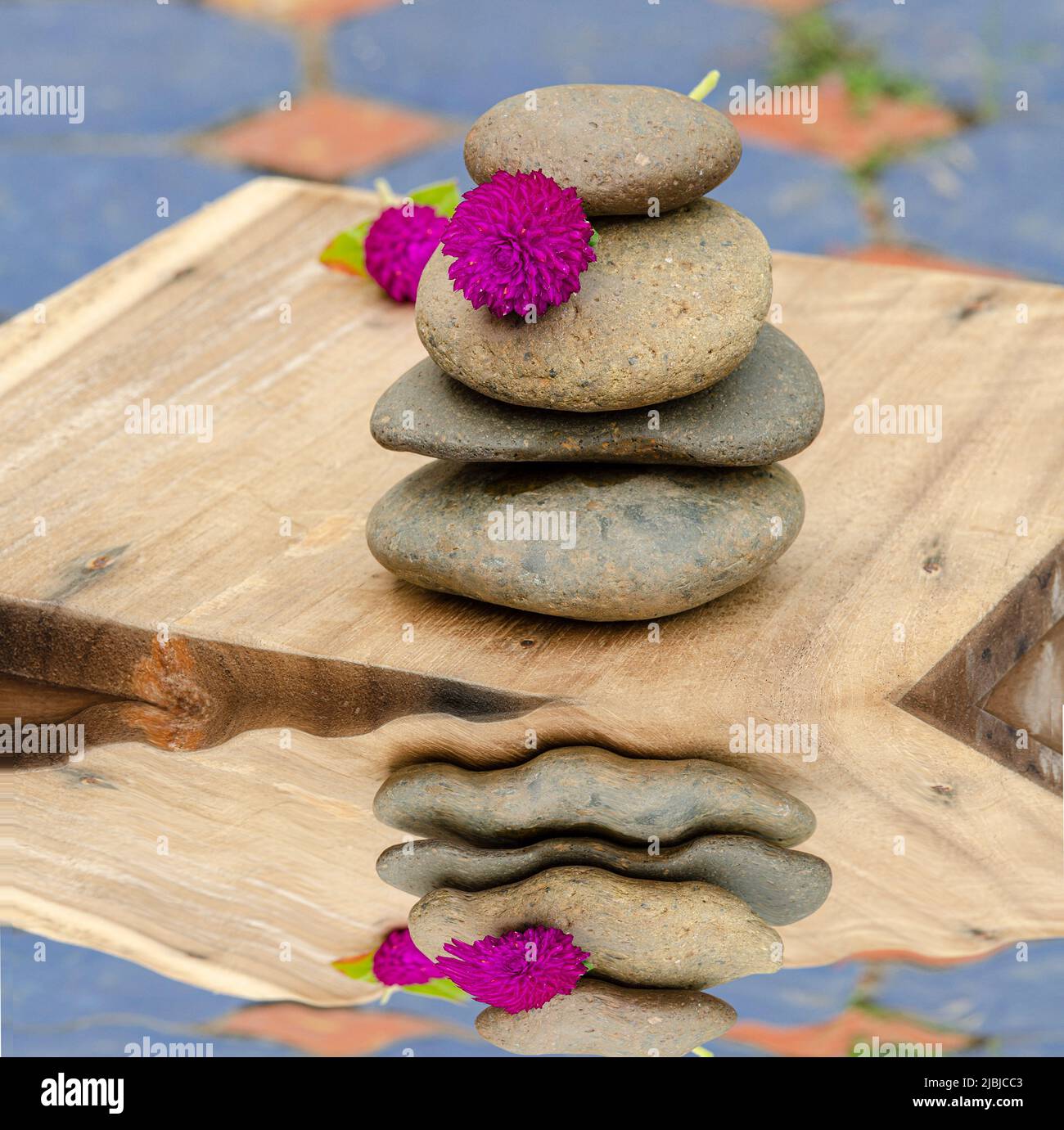 Amaranth on the spa stone with reflect Stock Photo