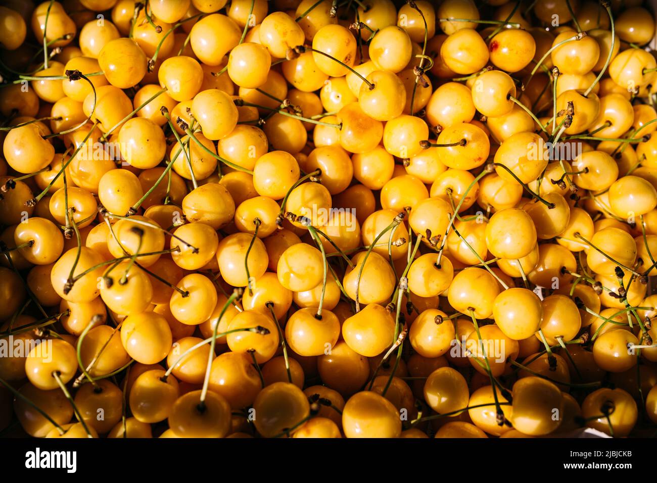 Fresh yellow cherries on a farmer's market stall Stock Photo Alamy