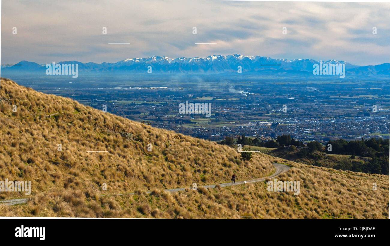 A walker and dog on a track in the Port Hills Christchurch with a view over the Canterbury Plains to the Southern Alps NZ Stock Photo