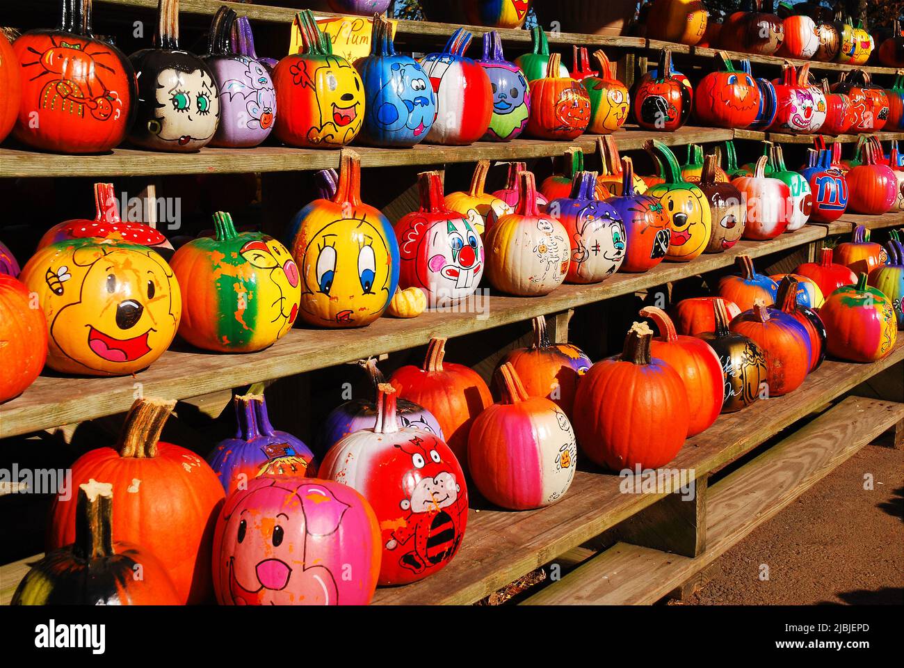 Rows of colorful painted pumpkins line the side of a barn on a sunny autumn day near Halloween Stock Photo