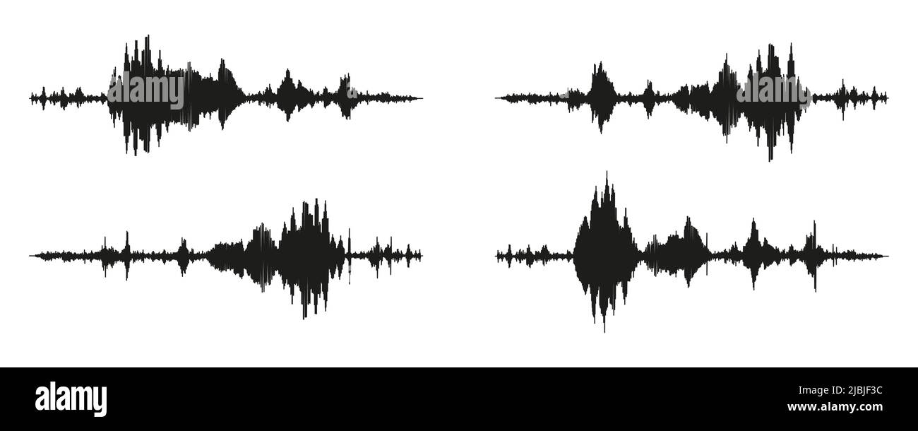 Seismograph measurement or lie detector graph. Seismic measurements with data record. Vector illustration isolated in white background Stock Vector