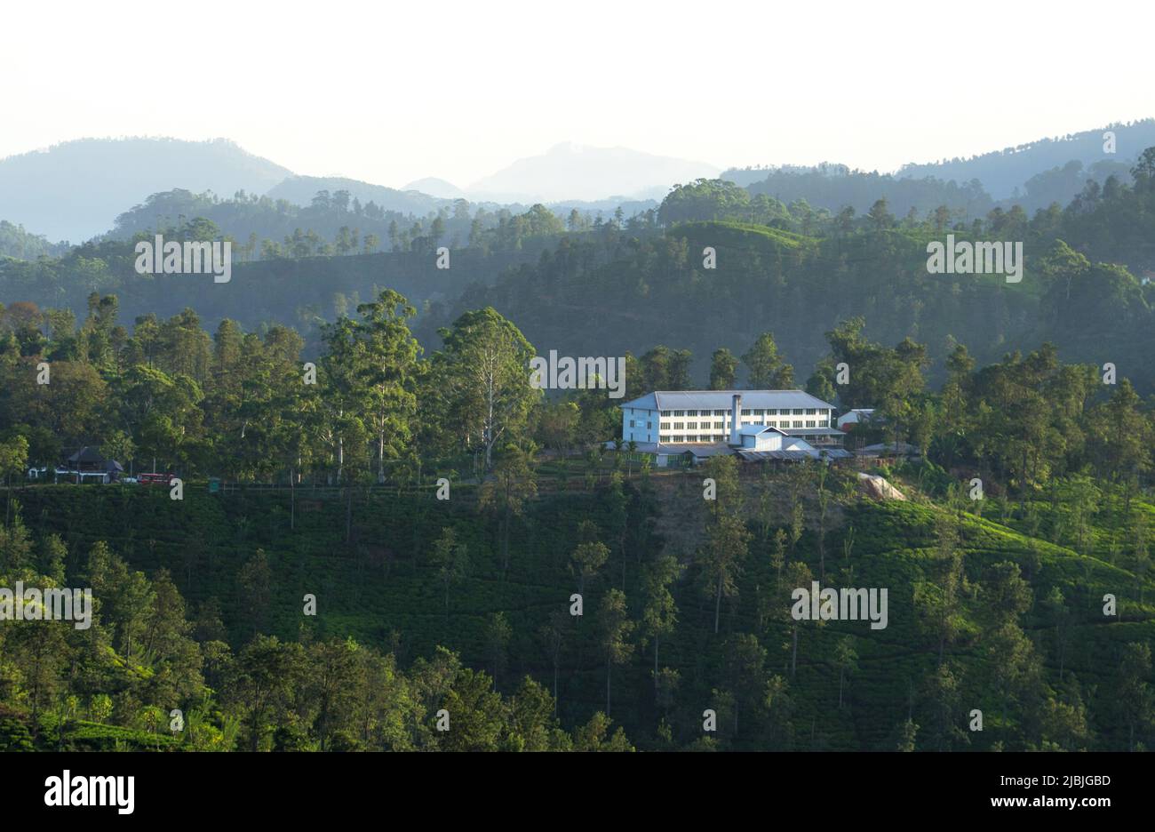 Tea Factory Ella Srilanka Stock Photo Alamy