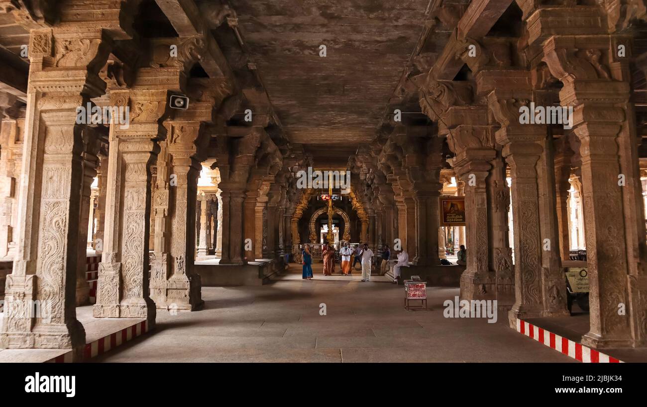 Sculptured Pillars and Visitors at Sri Ranganathaswamy Temple