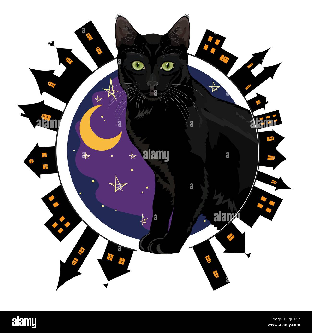 Night the old town and the black green-eyed cat sitting on a background of the starry night sky Stock Vector