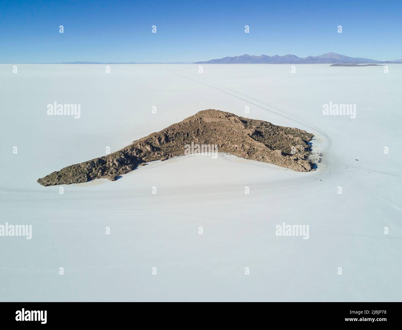 Isla Incahuasi on the Salar de Uyuni, Bolivia Stock Photo