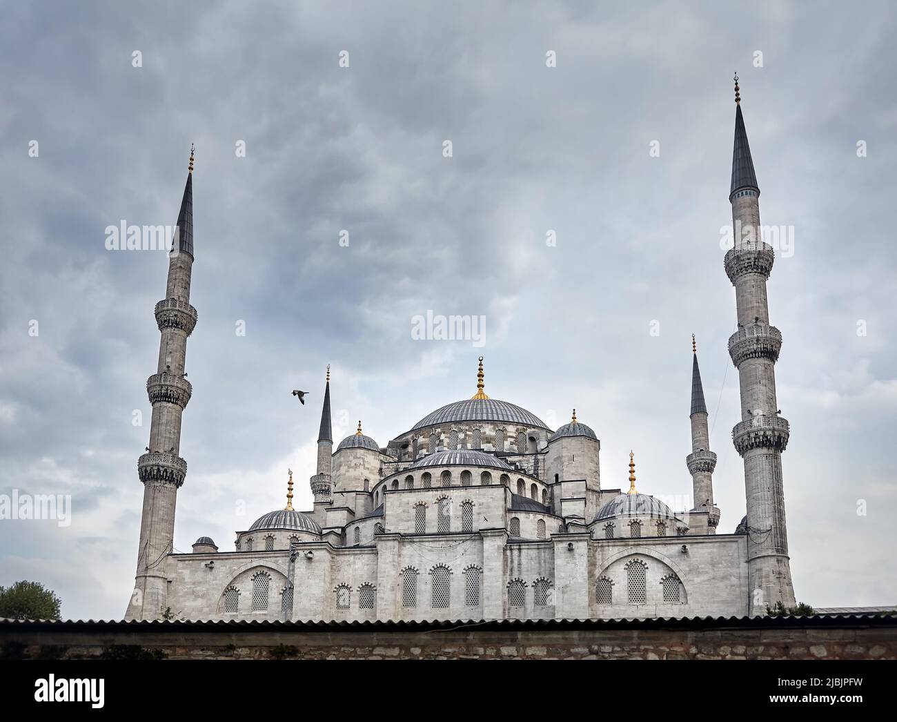 Hagia Sophia Ayasofya famous at cloudy sky with seagull bird in Istanbul, Turkey. Stock Photo