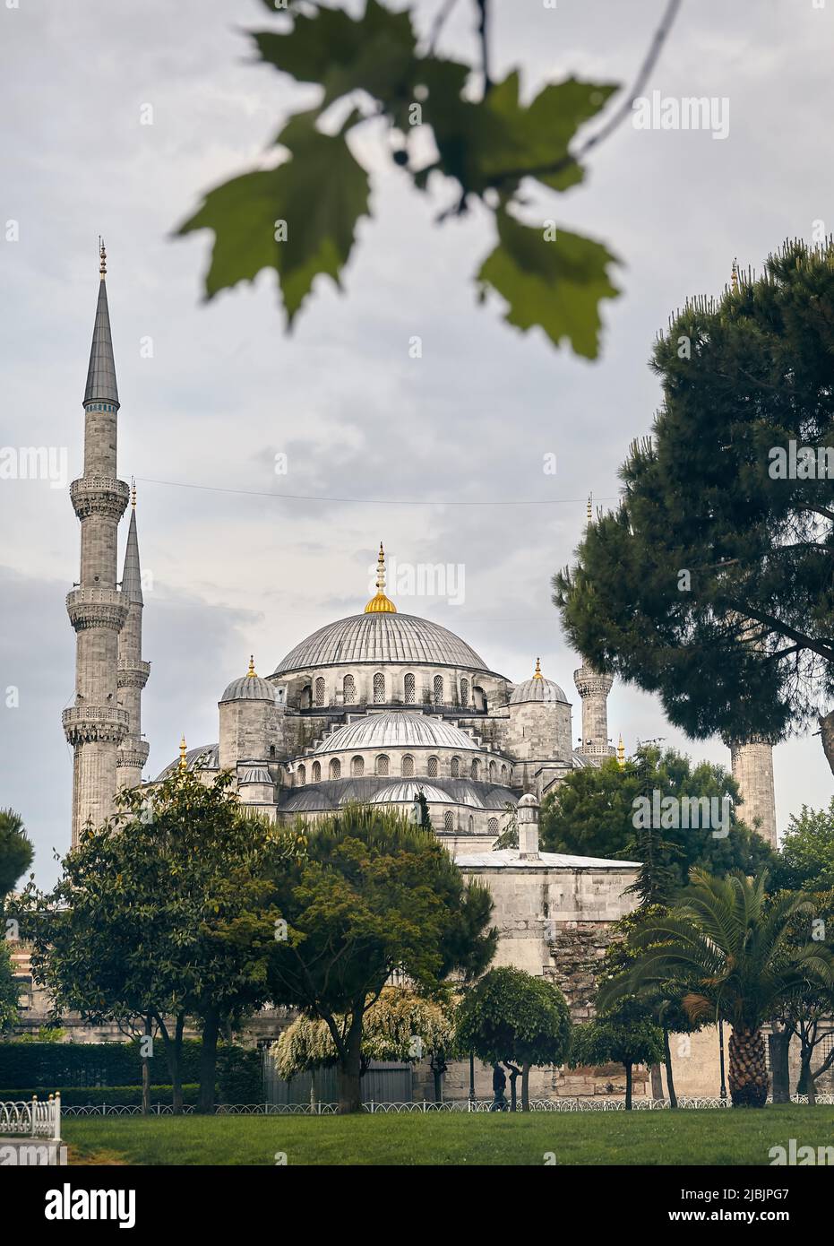 Hagia Sophia Ayasofya famous landmark view from the Sultan Ahmet Park with green tree in Istanbul, Turkey. Stock Photo