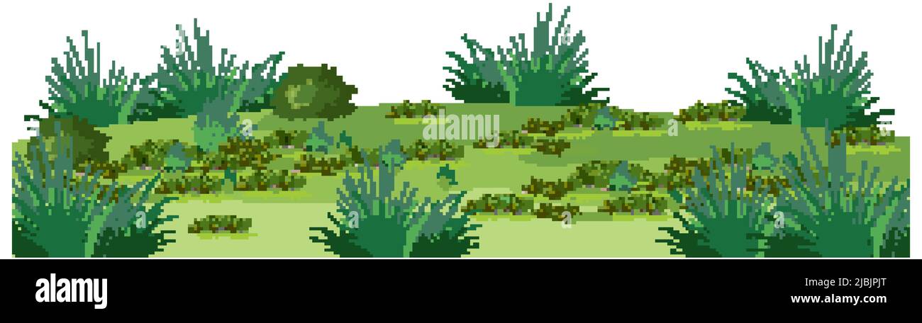 Isolated forest landscape on white background illustration Stock Vector ...