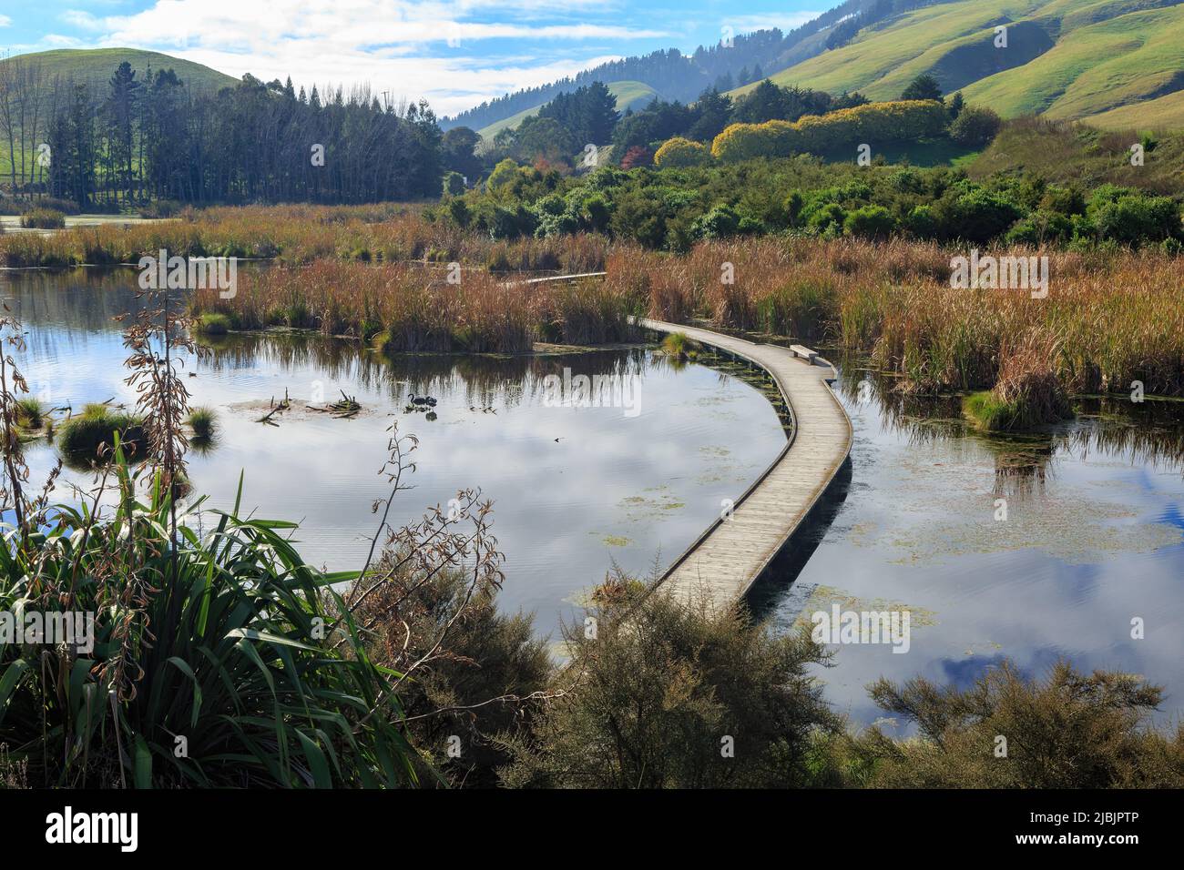 A boardwalk crossing a wetland lake at Pekapeka Regional Park, a nature reserve in the Hawke's