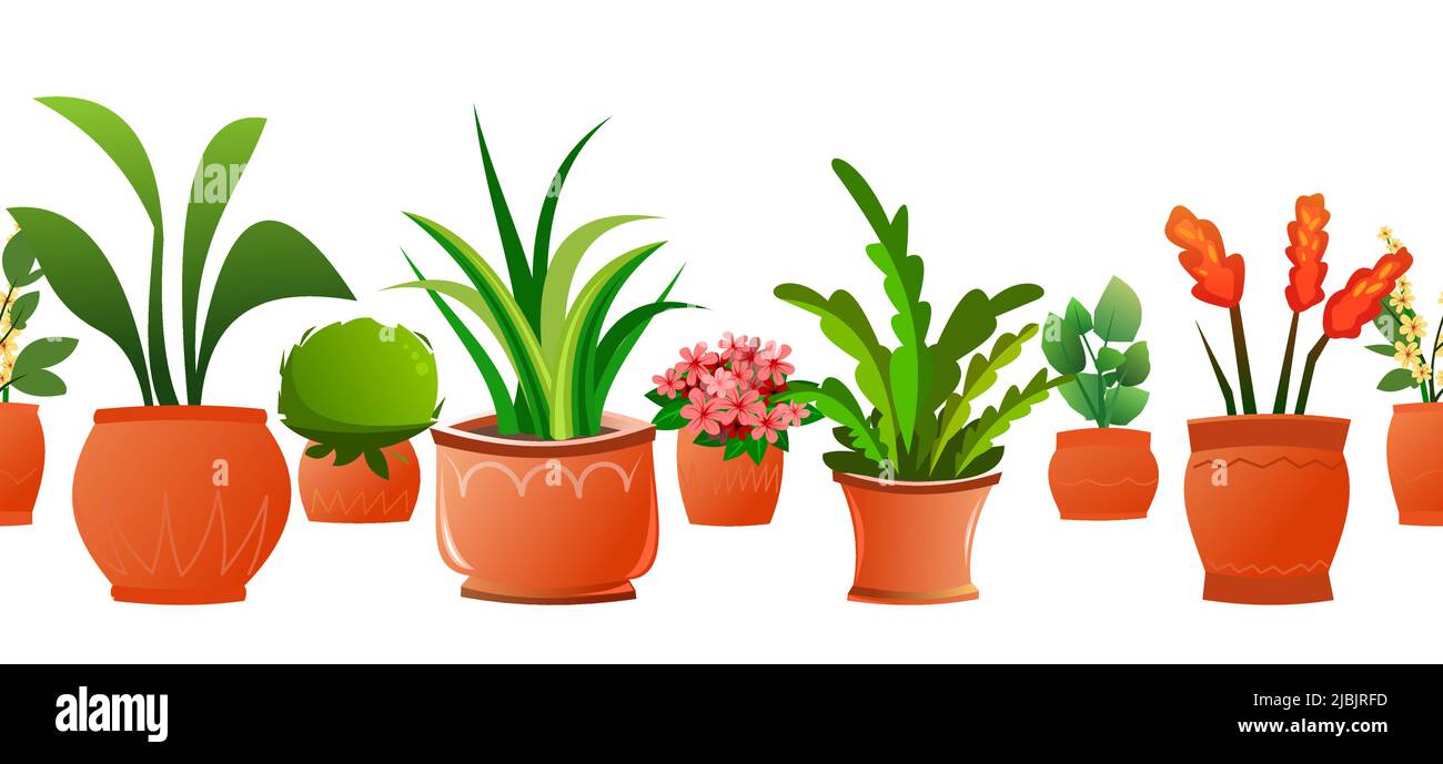 Indoor plants and flowers. Seamless horizontal composition. In ceramic pots. Homemade beautiful herbs. Isolated on white background. Cartoon fun style Stock Vector