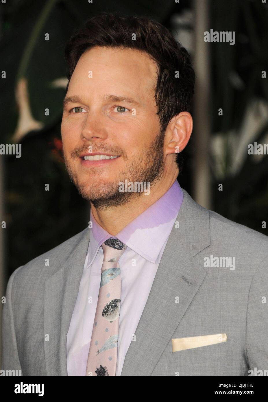 Los Angeles, CA. 6th June, 2022. Chris Pratt at arrivals for JURASSIC WORLD DOMINION Premiere, TCL Chinese Theatre, Los Angeles, CA June 6, 2022. Credit: Elizabeth Goodenough/Everett Collection/Alamy Live News Stock Photo
