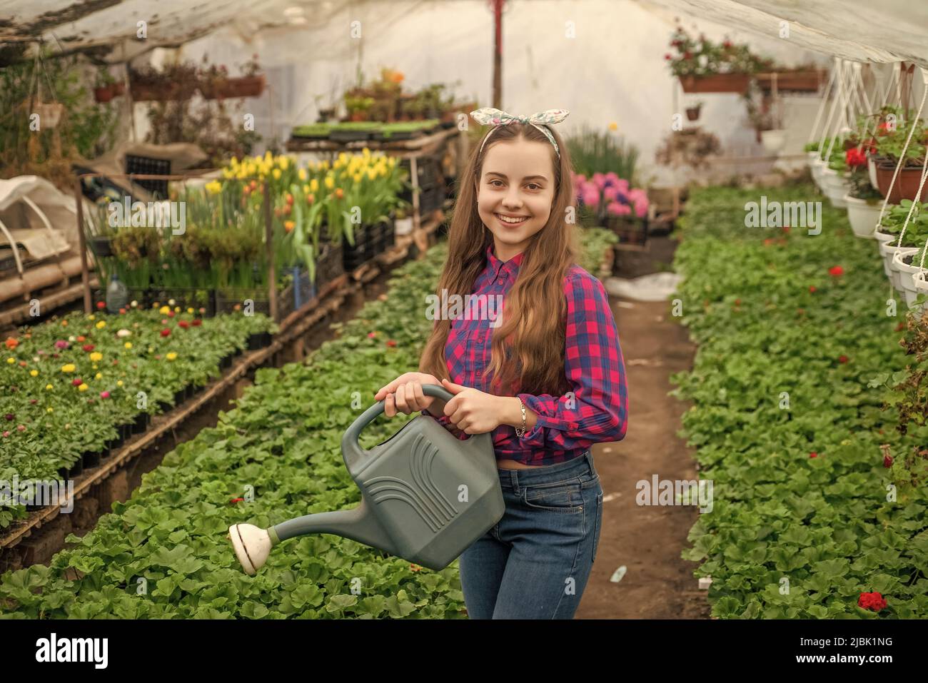 happy teen girl florist watering pot plants in greenhouse, hobby Stock ...