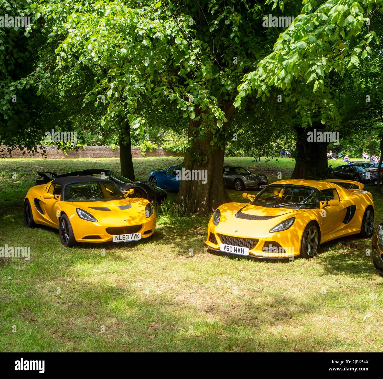 Pair of yellow Lotus sports cars under a canopy of trees Stock Photo