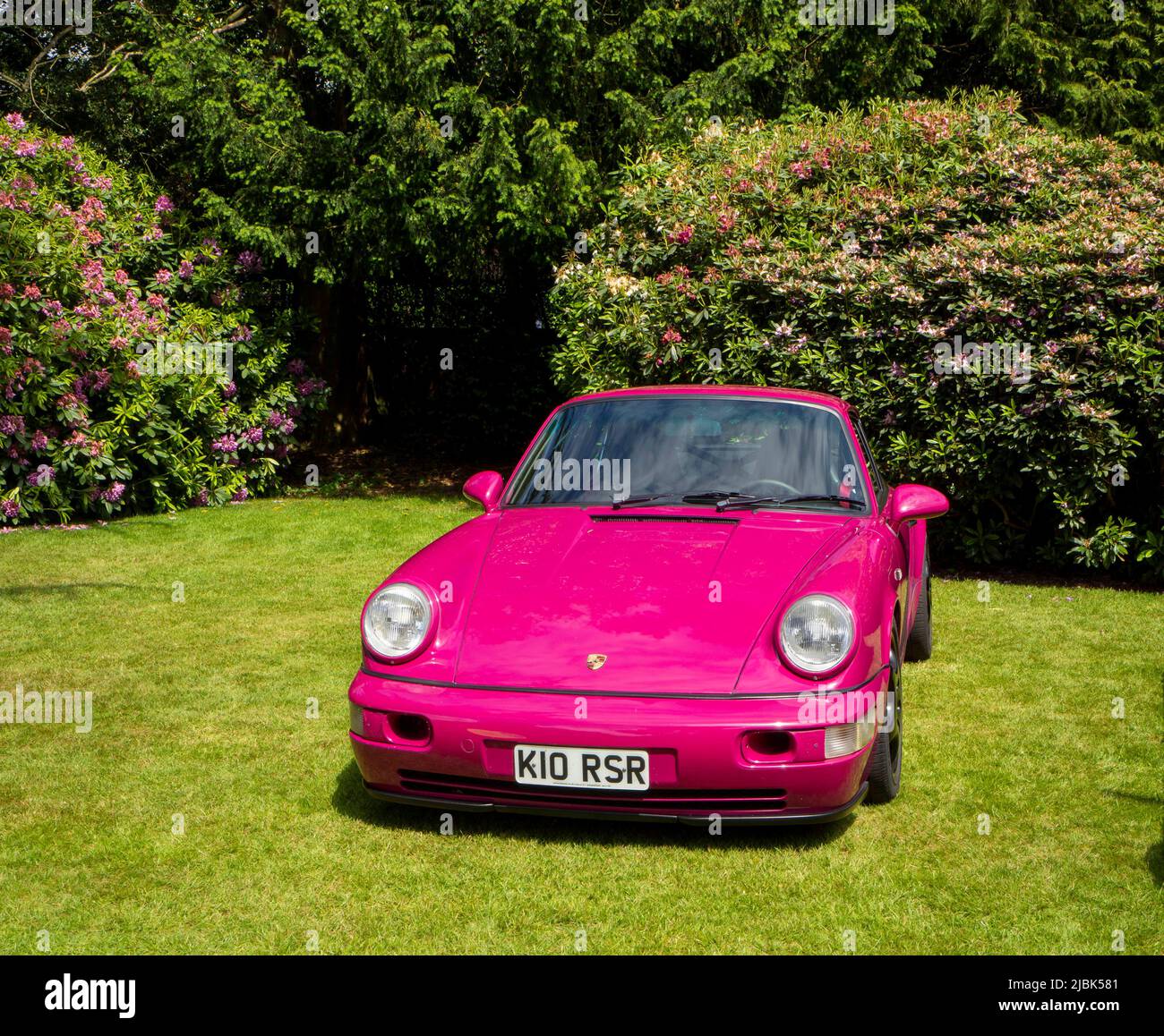 Pink Porsche in the grounds of Gawsworth Hall in front of flowering Rhododendron bushes Stock Photo