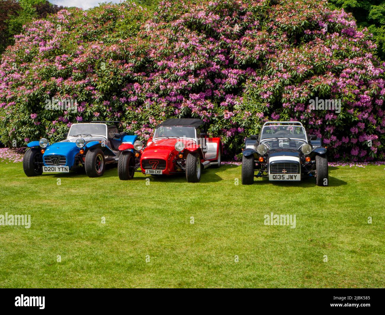 Three Caterham classic cars in front of a fully flowering Rhododendron bush Stock Photo