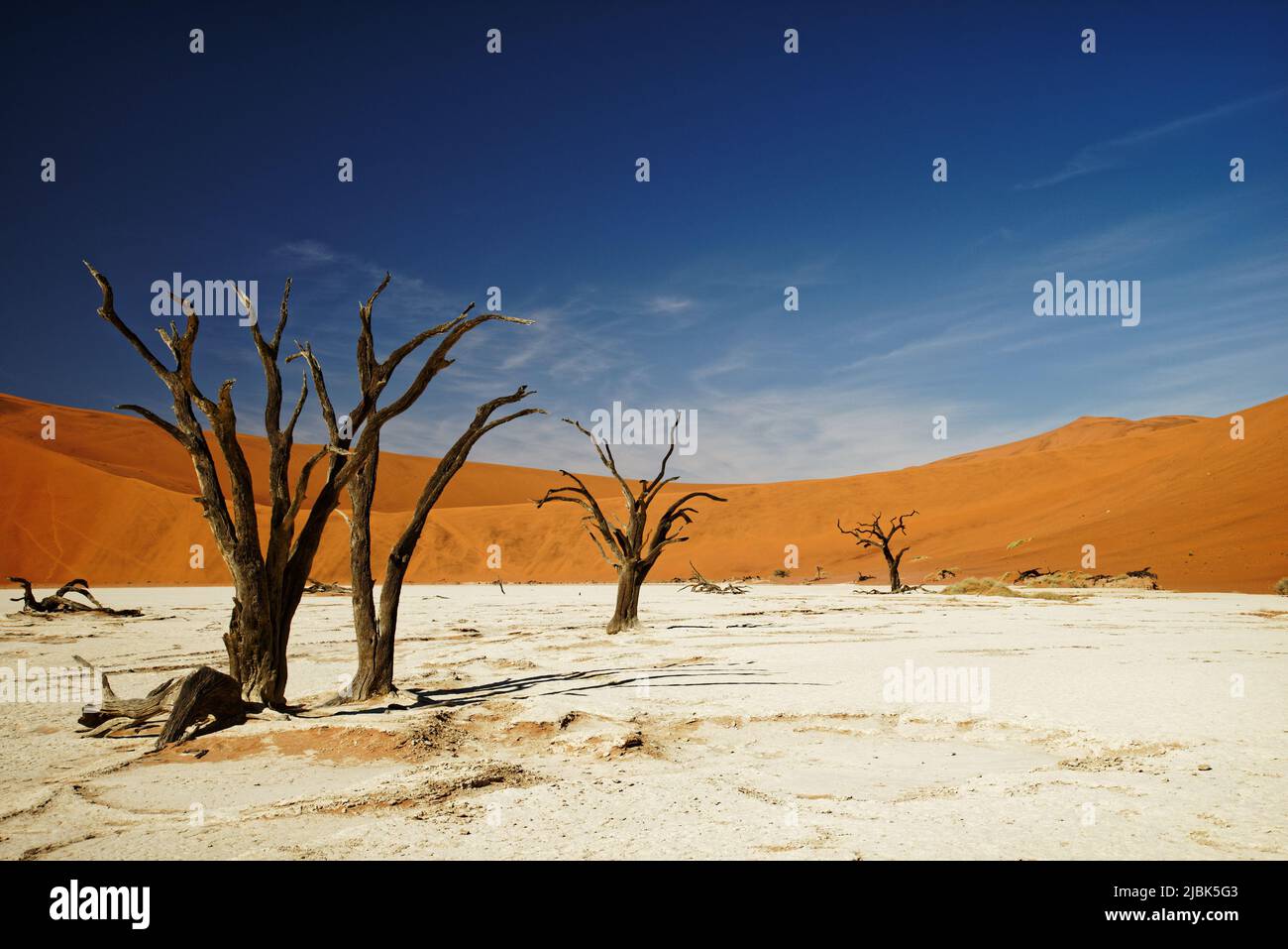 Deadvlei Namibia surreal landscape of dead trees, Namibia, south west Africa Stock Photo