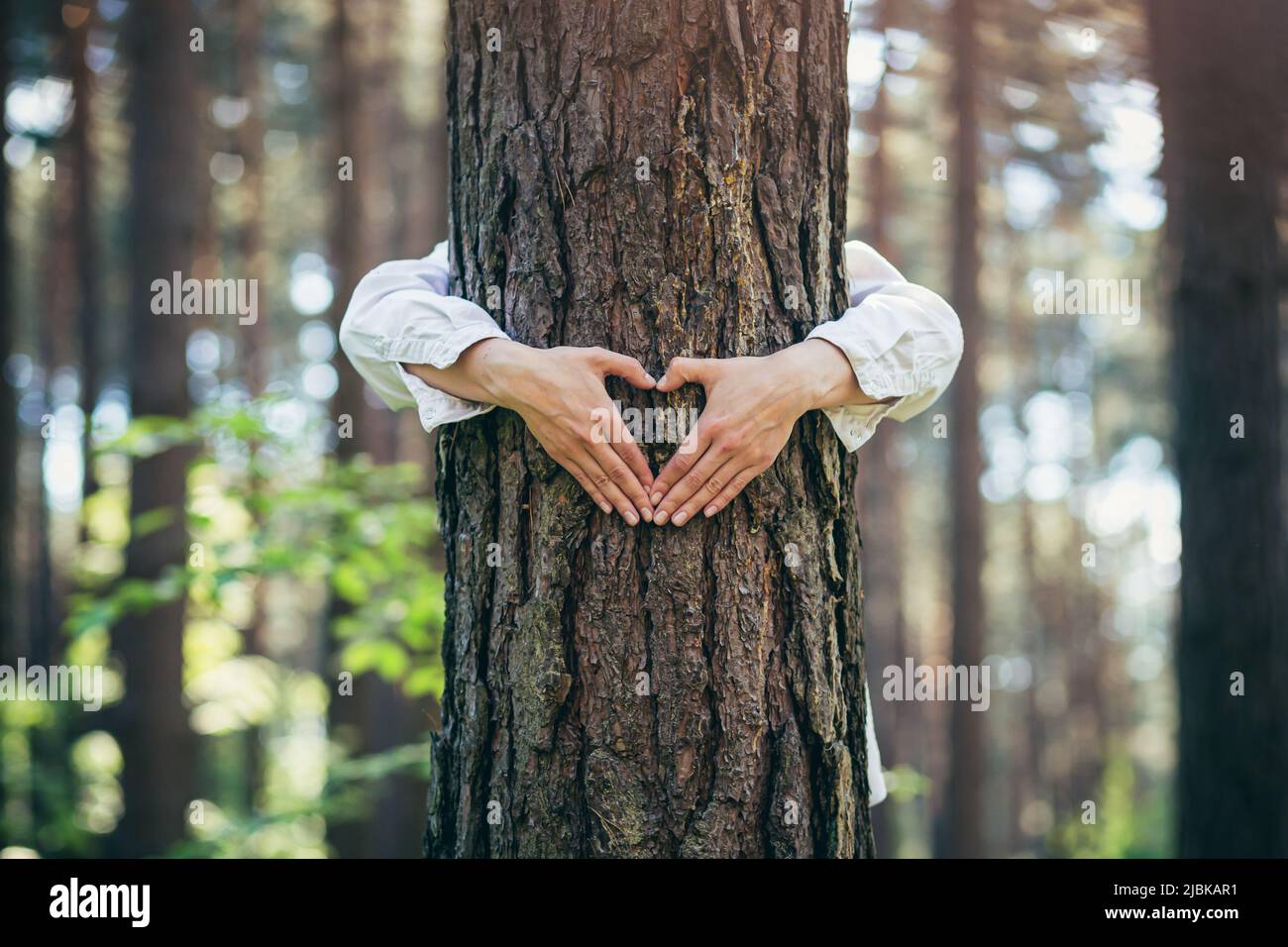 hands of a young woman hug a tree in the forest and show a sign of