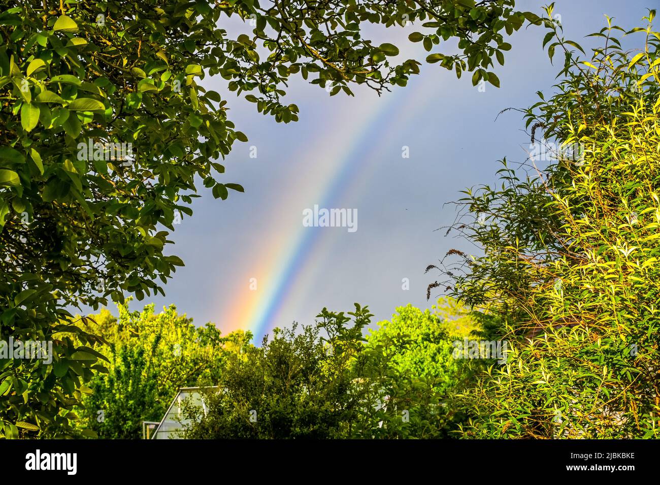 A rainbows, multicolored arc, optical phenomenon section framed by vegetation with the backdrop of a dark grey sky Stock Photo