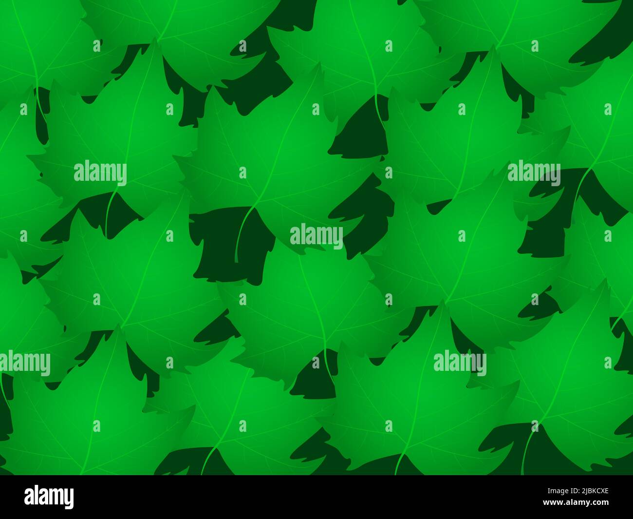 Green maple leaves pattern. Realistic maple leafs on green vector background. Stock Vector