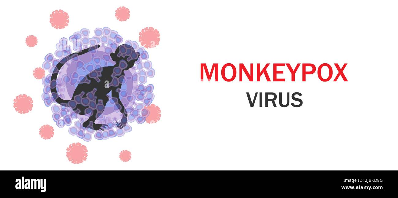 Monkeypox virus banner. Microbiological background with virus cells and monkey contours. Vector illustration. Stock Vector