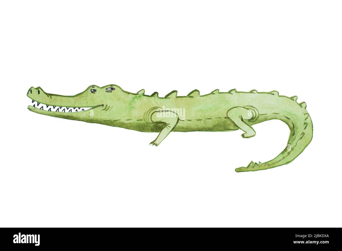Watercolor illustration of crocodile hand drawn aquarelle Stock Photo ...