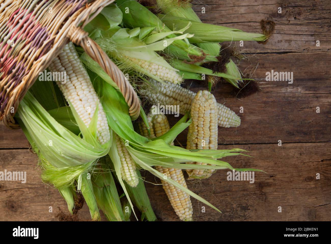 Basket with corn on the cob. Harvest on a wooden table. Corn from an eco farm. Summer food vegetables Stock Photo