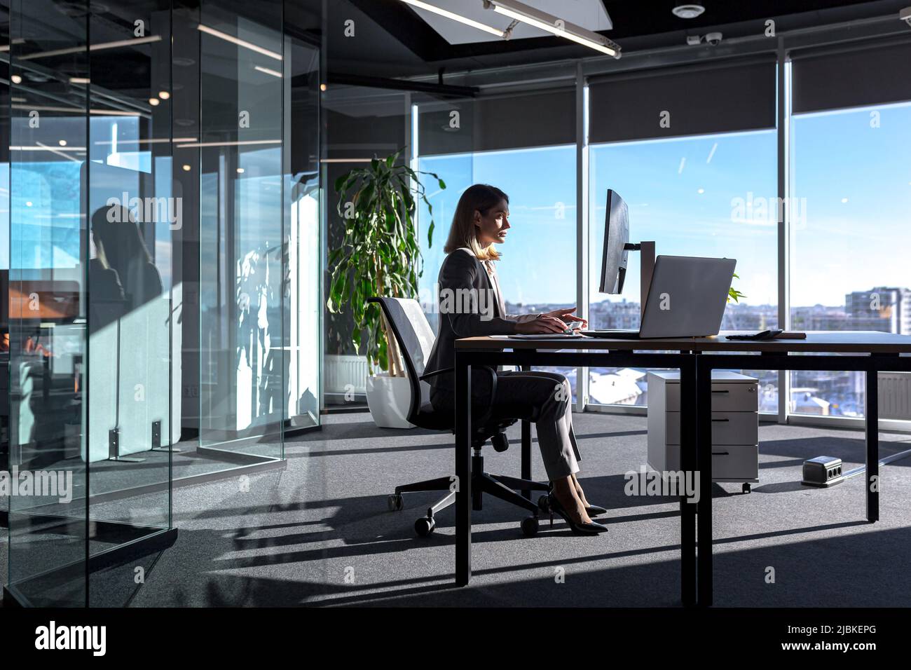 Synslinie Holde Tarmfunktion Female boss working at computer in office, silhouette of business woman  sitting at desk successful and independent director Stock Photo - Alamy