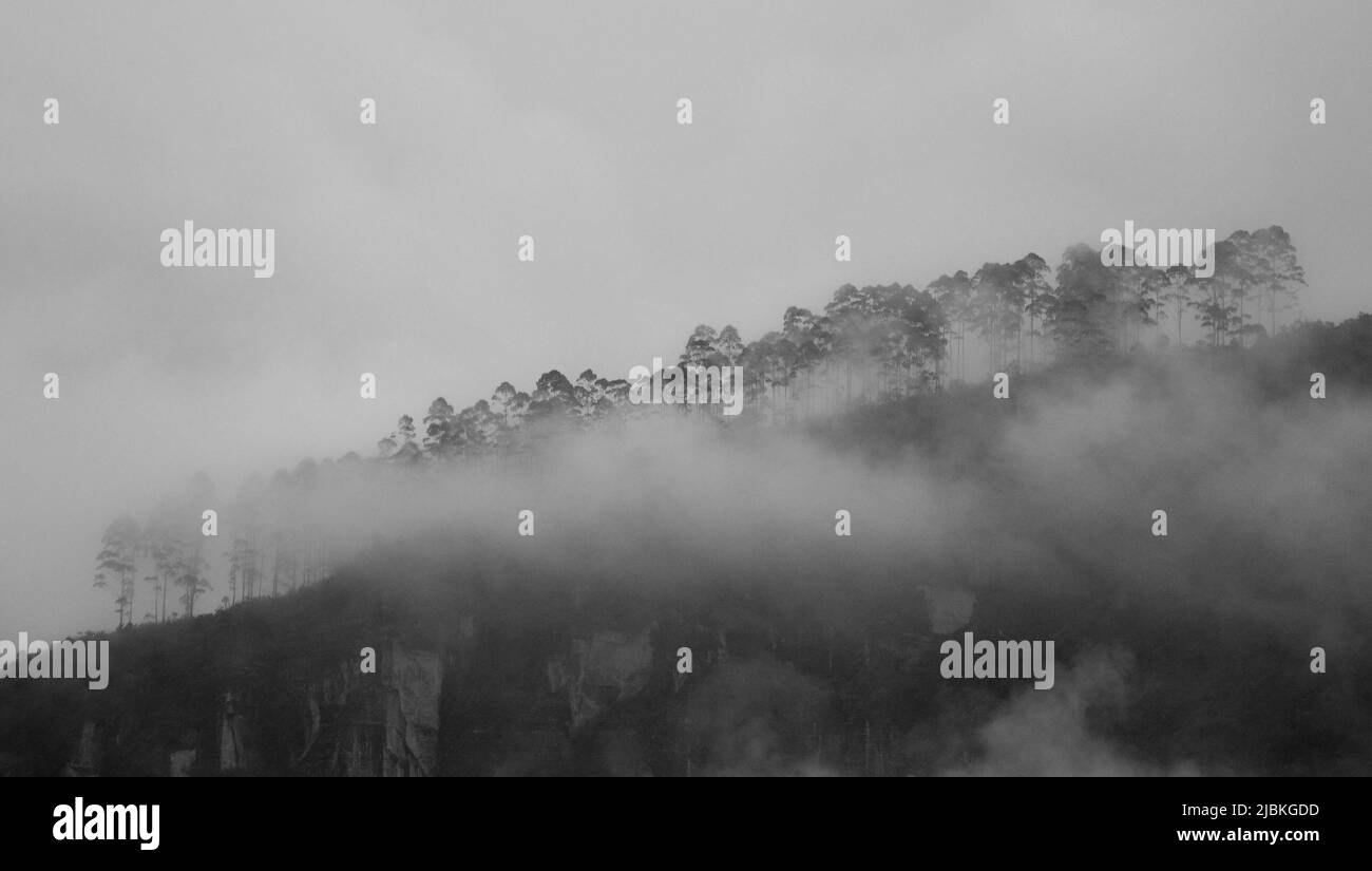 Misty Mountain Stock Photo