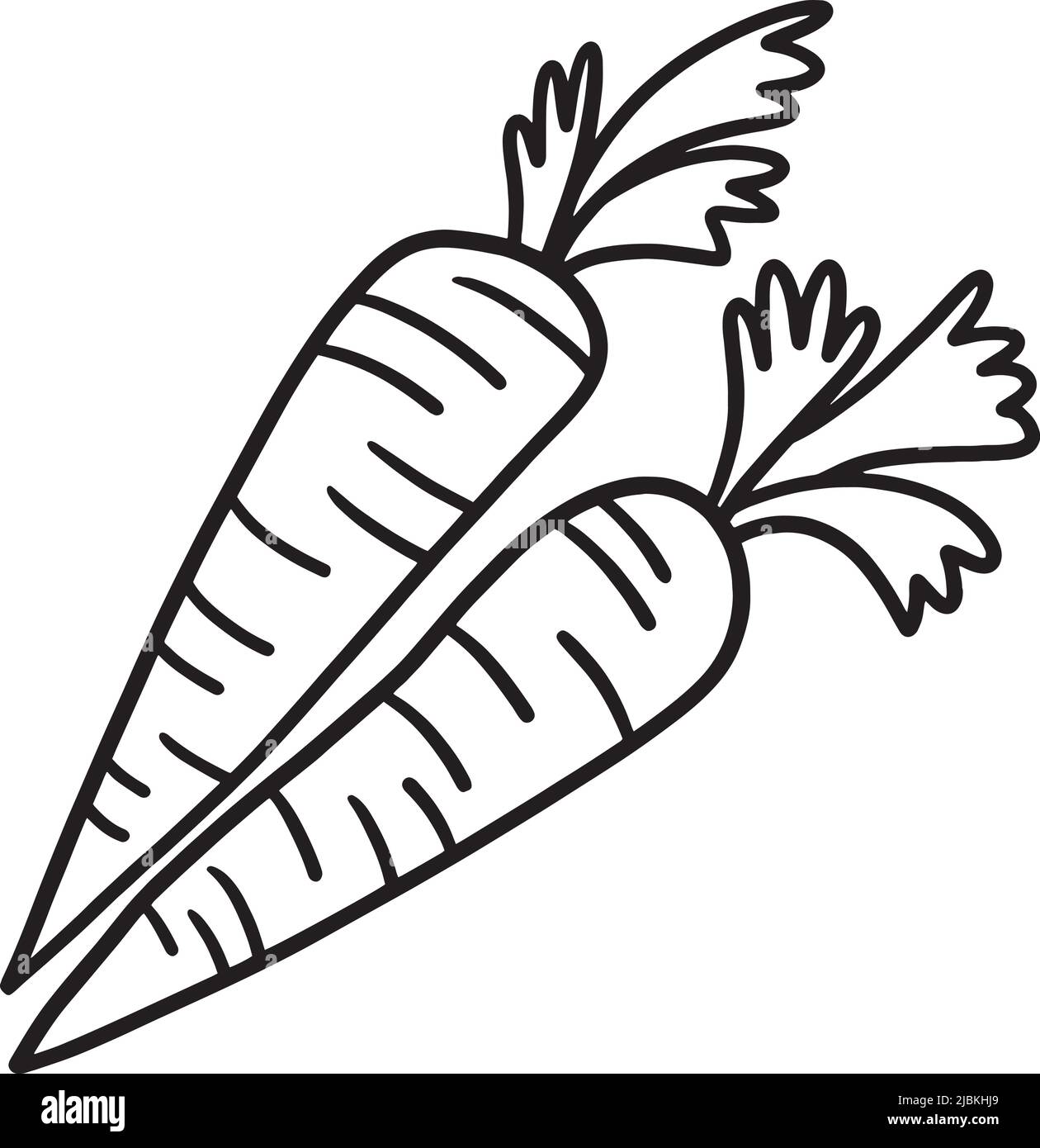 Thanksgiving Harvest Carrot Isolated Coloring Stock Vector Image & Art